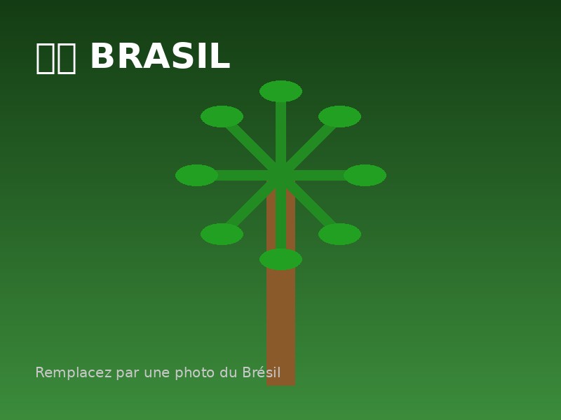 Estudiar en Brasil - Universidades brasileñas para estudiantes internacionales