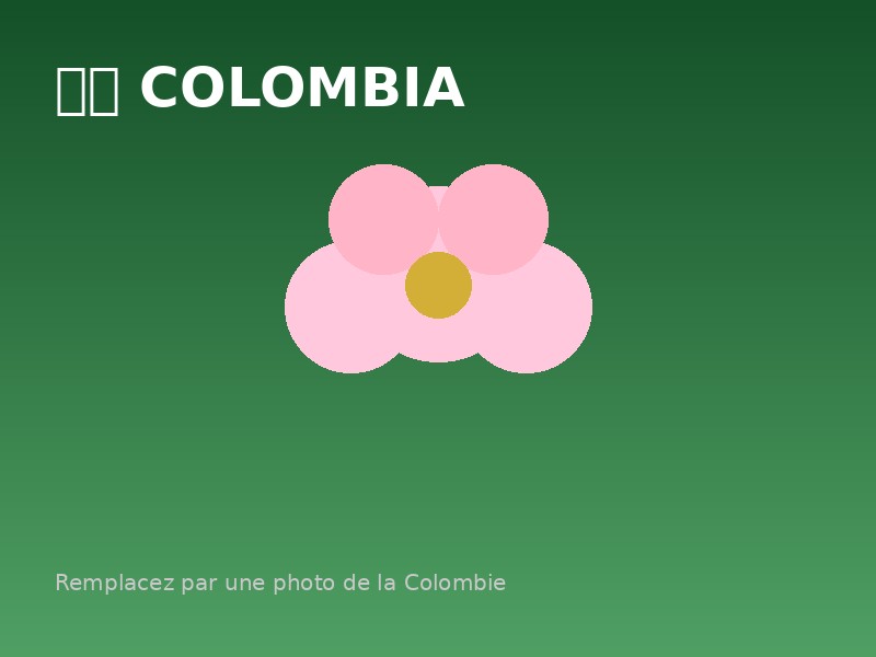Estudiar en Colombia - Universidades colombianas para estudiantes internacionales